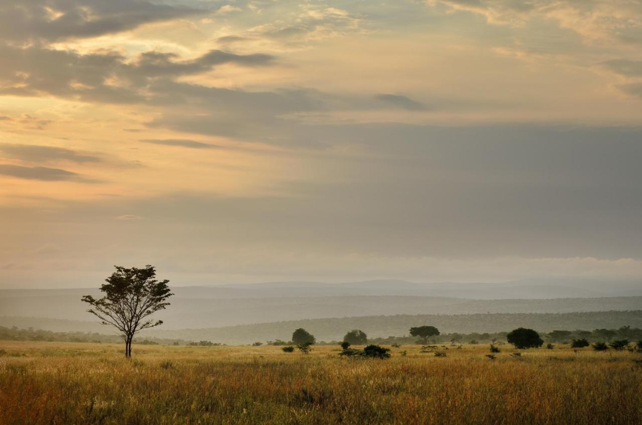 Makweti Safari Lodge Réserve animalière Welgevonden Extérieur photo