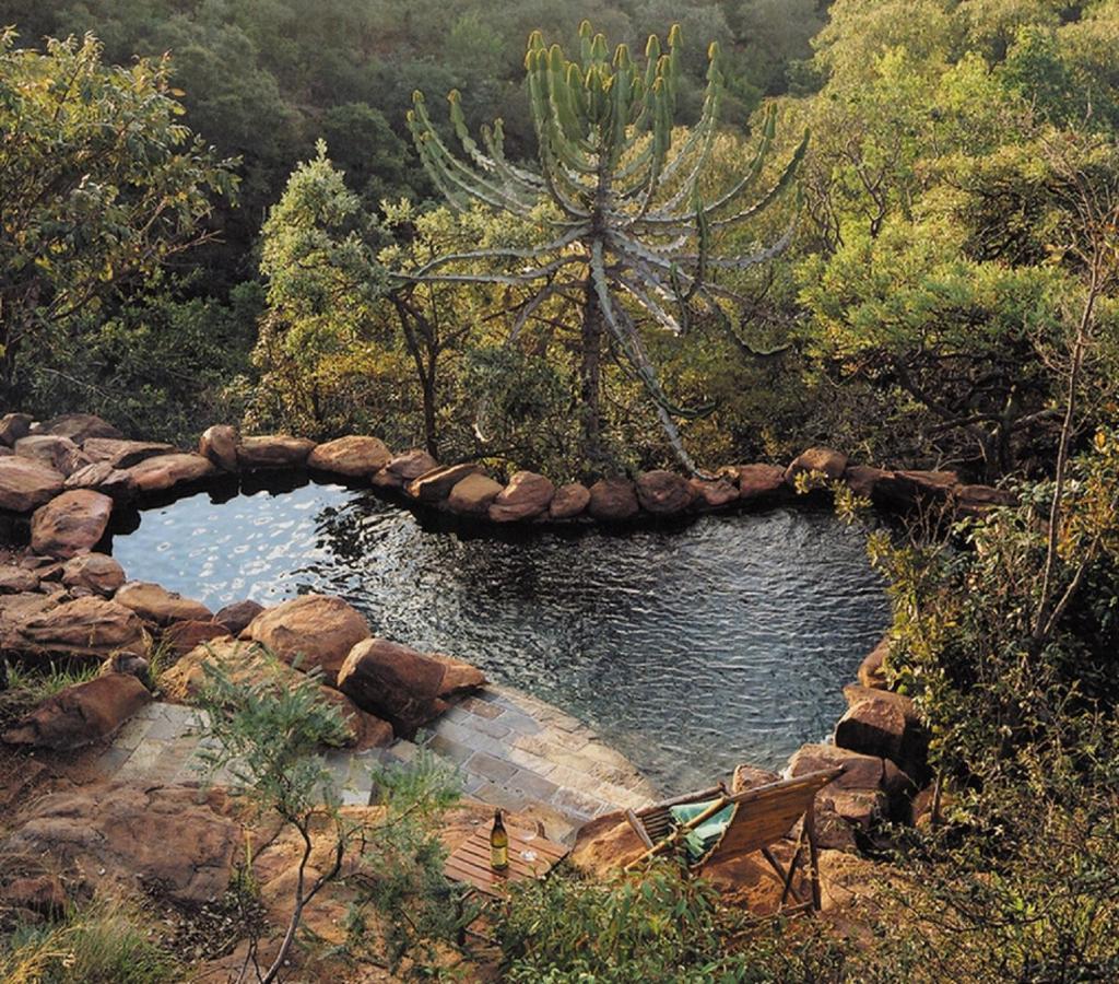 Makweti Safari Lodge Réserve animalière Welgevonden Extérieur photo