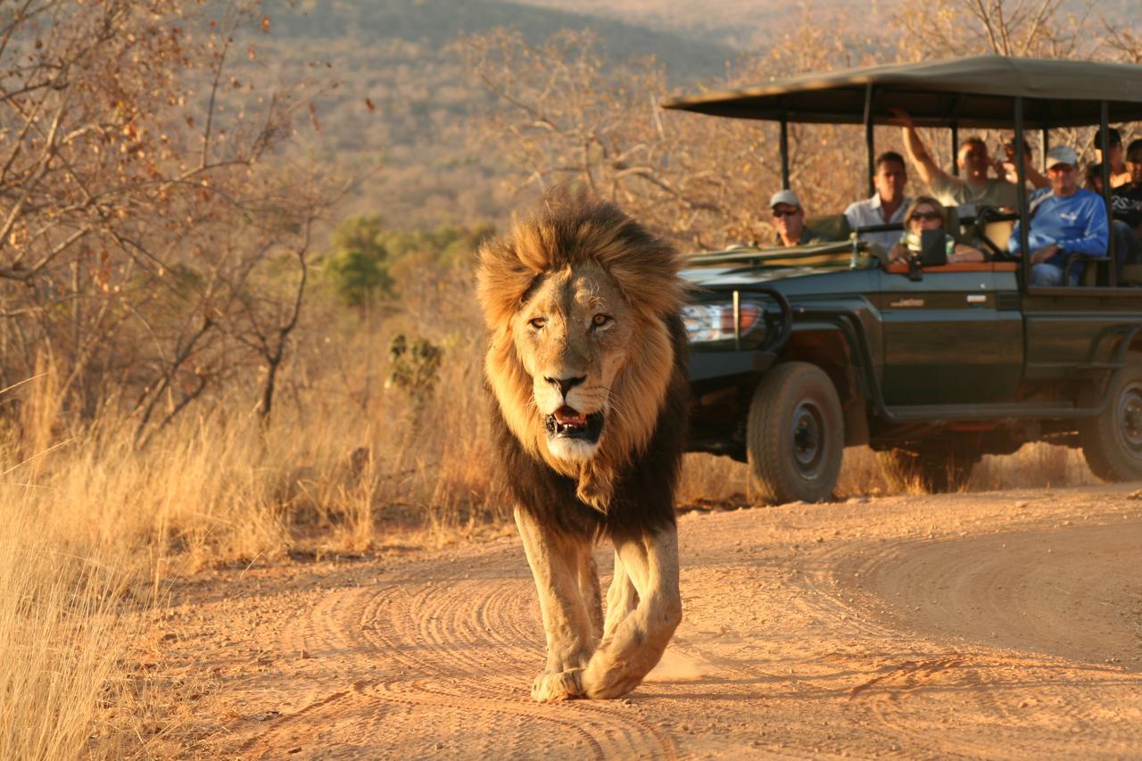 Makweti Safari Lodge Réserve animalière Welgevonden Extérieur photo