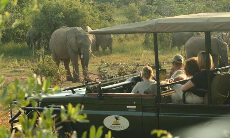 Makweti Safari Lodge Réserve animalière Welgevonden Extérieur photo